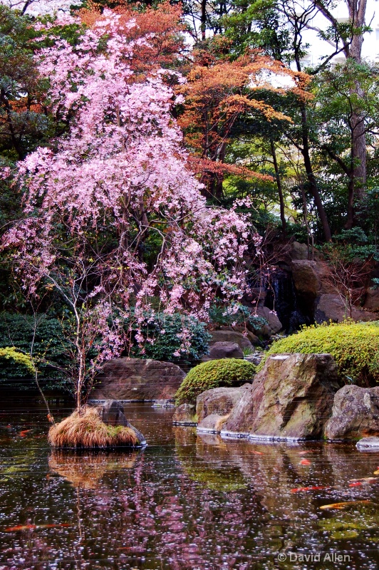 Springtime in the garden