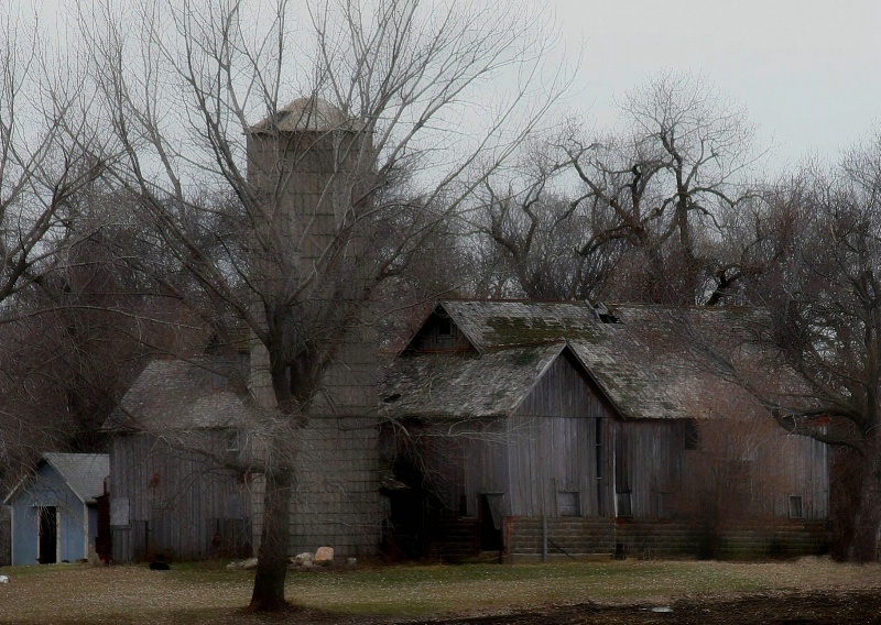 Old Barn by the Grove