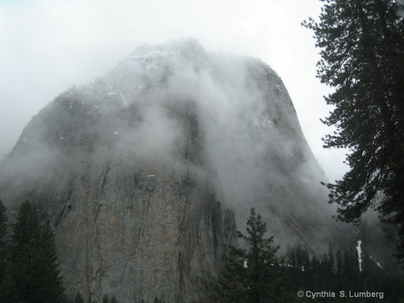 Winter Mist. . .Yosemite, CA - ID: 9955758 © Cynthia S. Lumberg