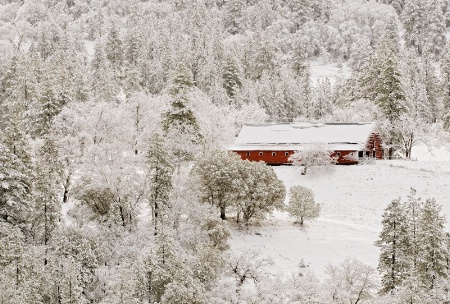 Winter In Oregon