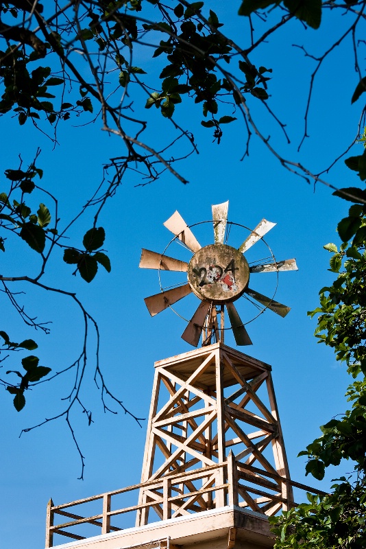 Windmill in Watsonvill