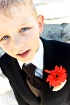 ~ Groom's Son...