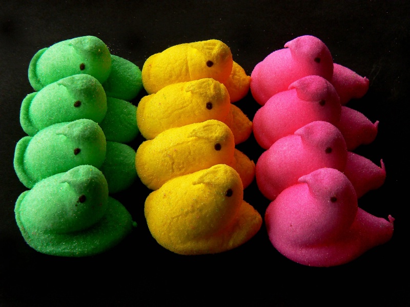 March of the peeps
