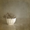 Simplicity
