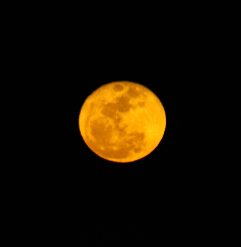 Orange Moon