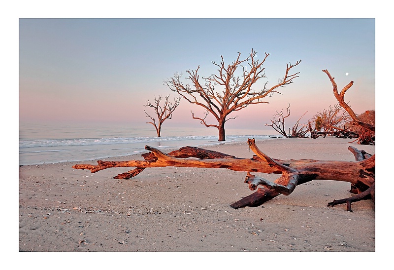 Oak Wood, Botany Bay,  Edisto Island, SC