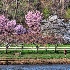 © Elliot Barnathan PhotoID# 9975506: Philadelphia in Spring 6