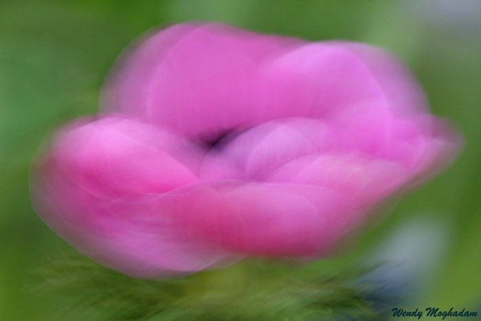 Summer Breeze