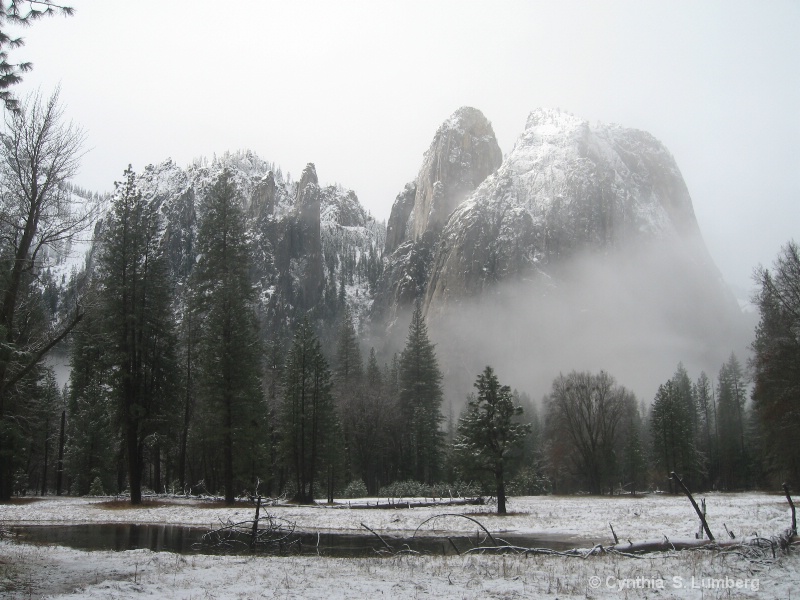 Winter Silence. . .Yosemite, CA - ID: 9978604 © Cynthia S. Lumberg
