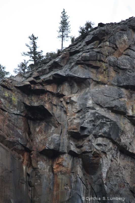 Granite Faces. . .Yosemite, CA - ID: 9982124 © Cynthia S. Lumberg