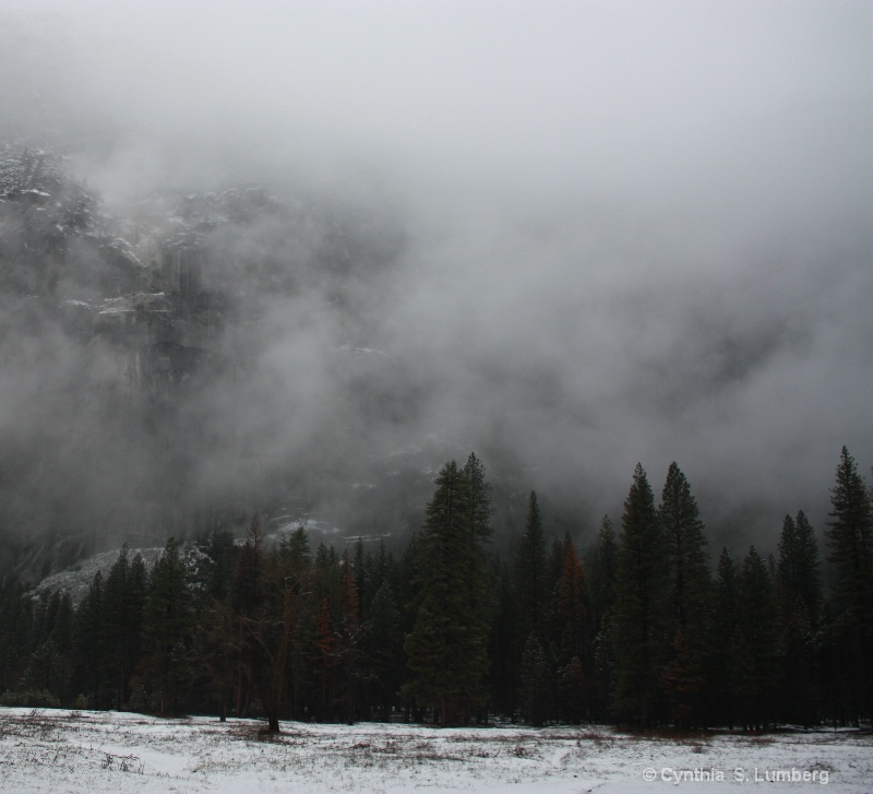 Winter's Mist. . .Yosemite, CA - ID: 9982169 © Cynthia S. Lumberg