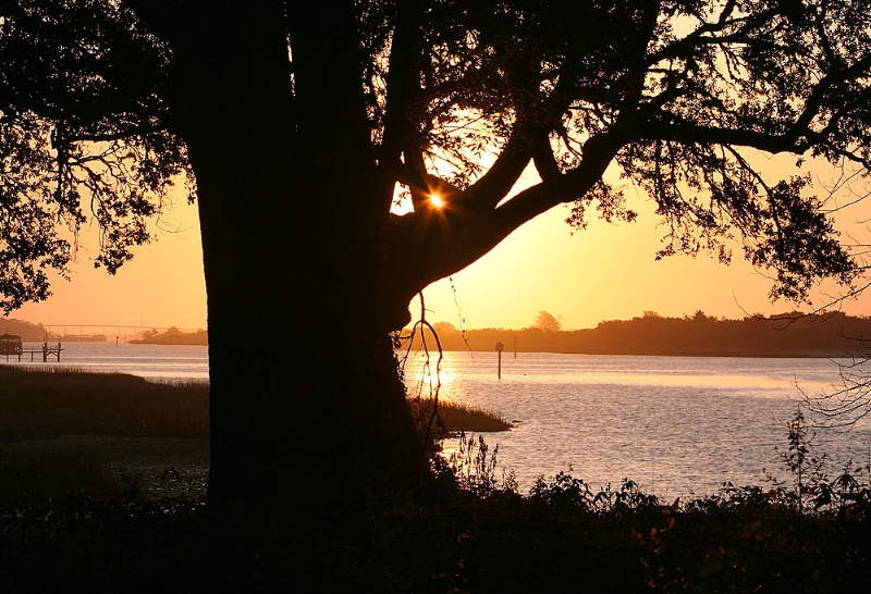 Sunrise on the Waterway
