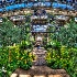 © Elliot Barnathan PhotoID# 9985051: Longwood Gardens 1