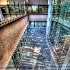 © Elliot Barnathan PhotoID# 9985106: Perelman Center 1
