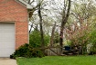 sideyard and gate