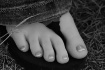 toes