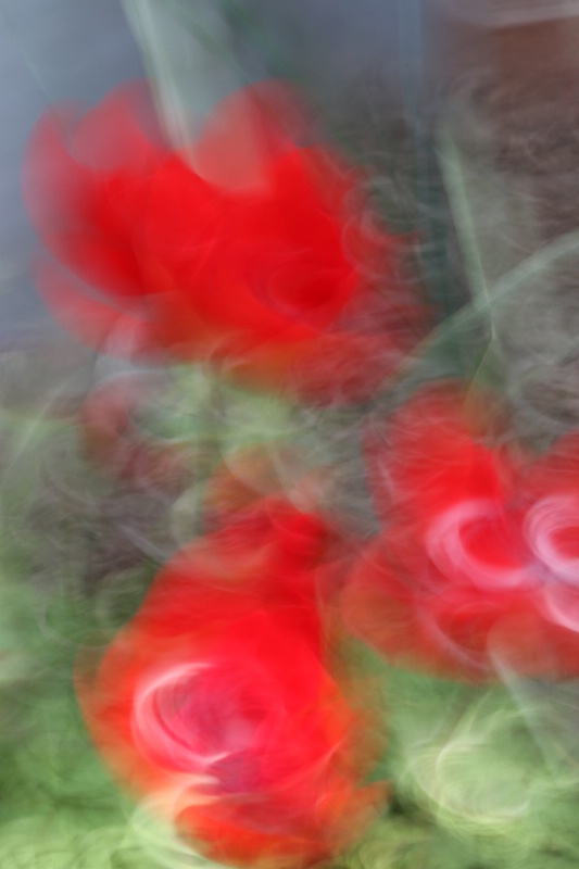 Red Flower Trio, Abstract