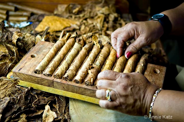 rolling cigars - ID: 9995135 © Annie Katz