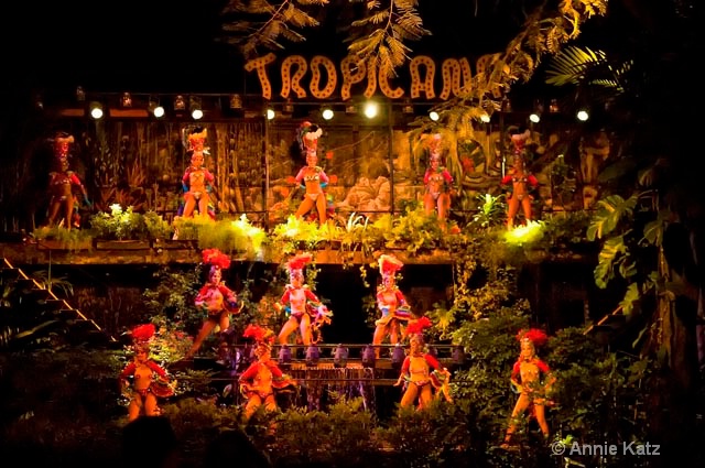 the tropicana show - ID: 9995333 © Annie Katz