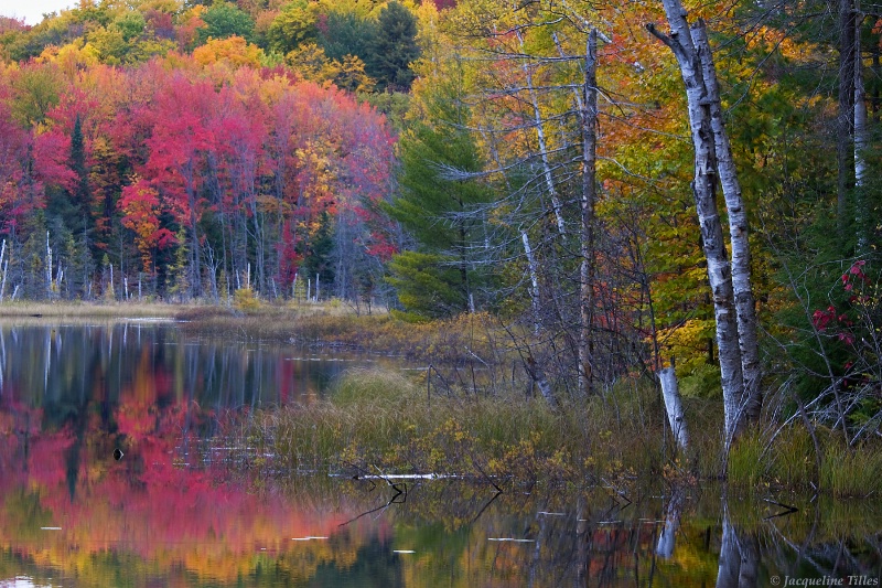 A Hazy Autumn Morning - ID: 9995519 © Jacqueline A. Tilles