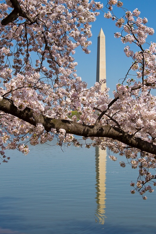 Washington, DC - ID: 9997288 © Chris Budny