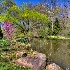 © Elliot Barnathan PhotoID# 9998206: Chanticleer 23