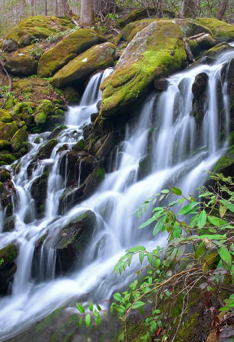Un-named waterfall 2, GSMNP - ID: 9999125 © Donald R. Curry