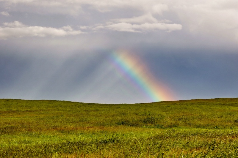 Sunbeams & A Rainbow