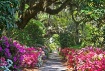 Southern Plantati...