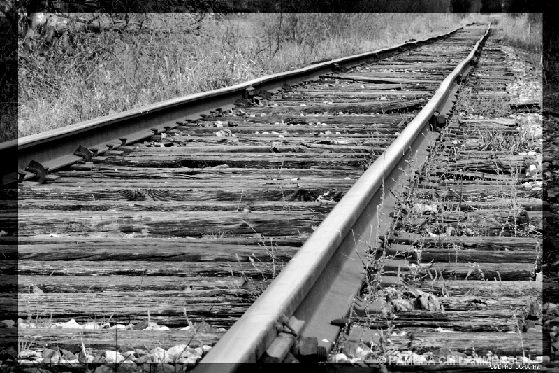 The Rails - ID: 10031734 © Pamela C.M Lammersen