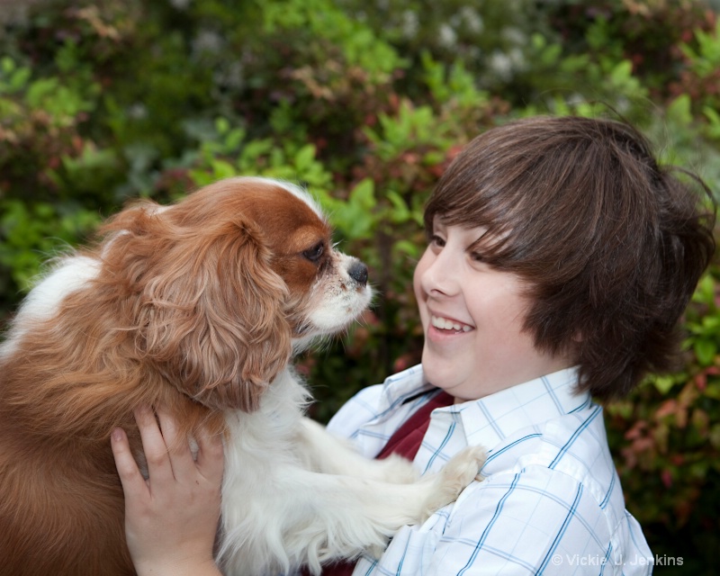 Cocker Spaniel Joy