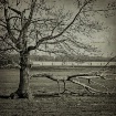 Sweetly Broken