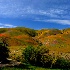 2Gorman Hills - ID: 10036335 © Kathy Salerni