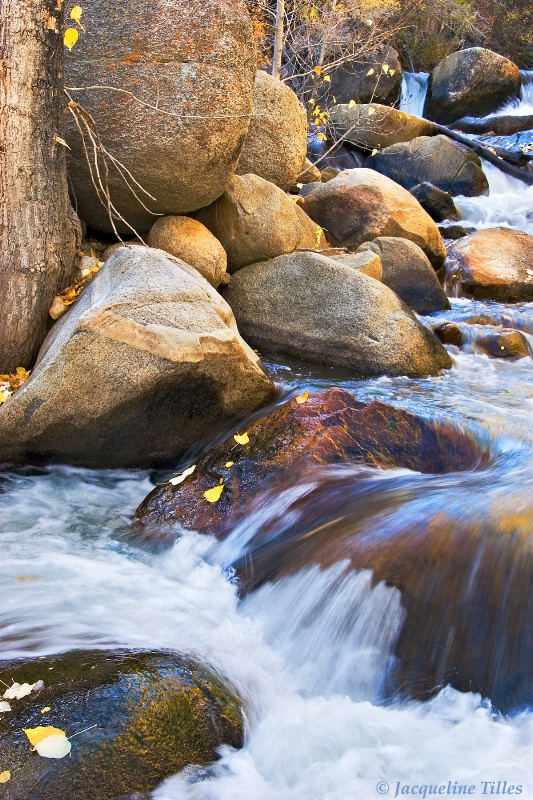 Rocky Creek - ID: 10037384 © Jacqueline A. Tilles