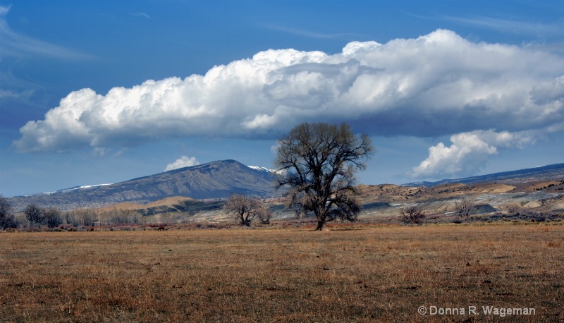 Beautiful Wyoming Today