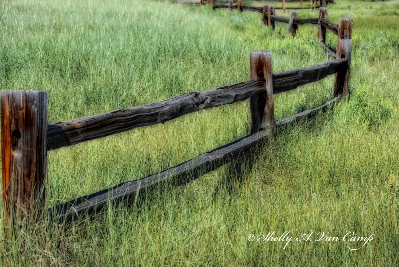 Fence Line