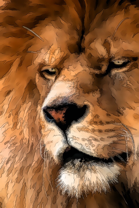 Lion Art 9