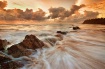 Brown Swirls