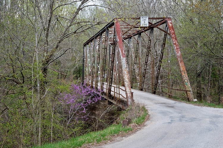 Steel Bridge, White Co., TN - ID: 10049475 © george w. sharpton