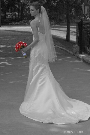 My Daughter, The Bride