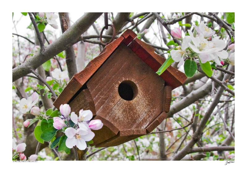 Apple Blossom Bird House