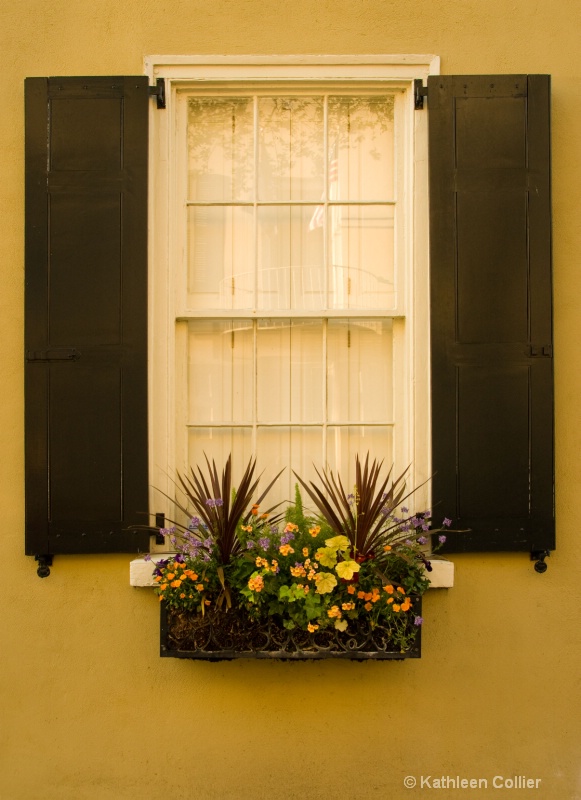 Windows of Charleston 2
