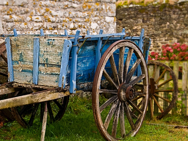 Chariot in blue