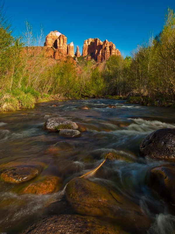 ~Cathedral Rock~