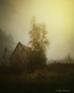 Misty Dawn