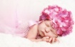 Sleeping Blossom