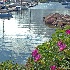 © Beth E. Higgins PhotoID# 10075125: Crosby Yacht Yard - Osterville