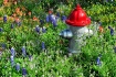 Fyre Hydrant