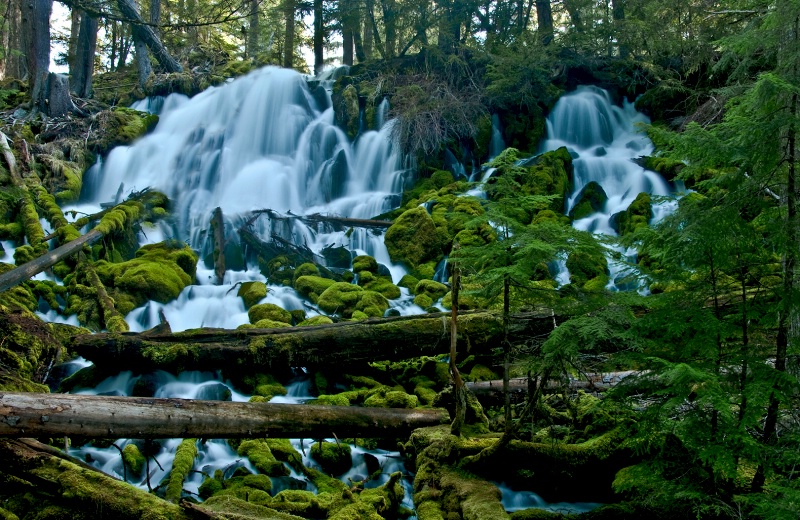 Clearwater Falls, Oregon - ID: 10091767 © Denny E. Barnes
