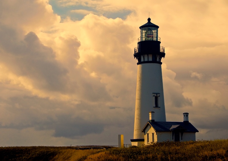 Yaquina Head Light, Oregon - ID: 10092063 © Denny E. Barnes